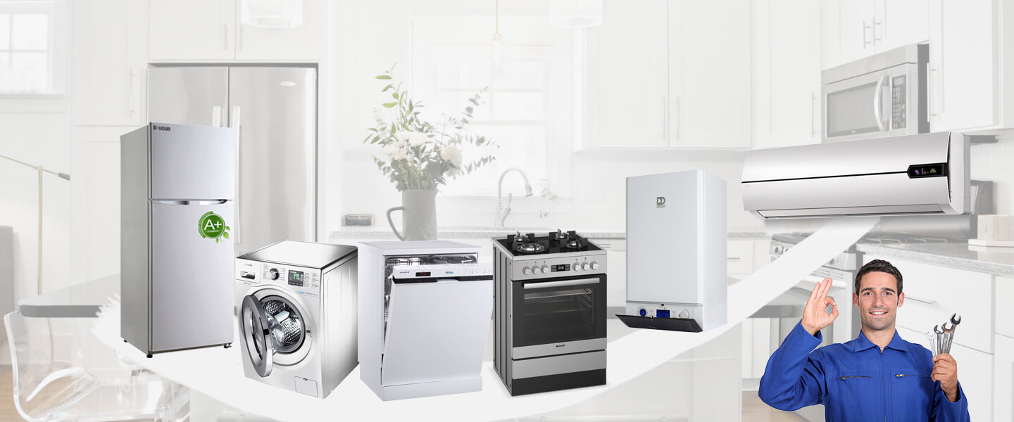 Lice Daikin Servisi